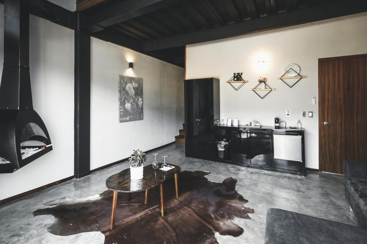 Origen75 Loft - Villas - Skypool - Vinedo, Valle De Guadalupe Exterior foto